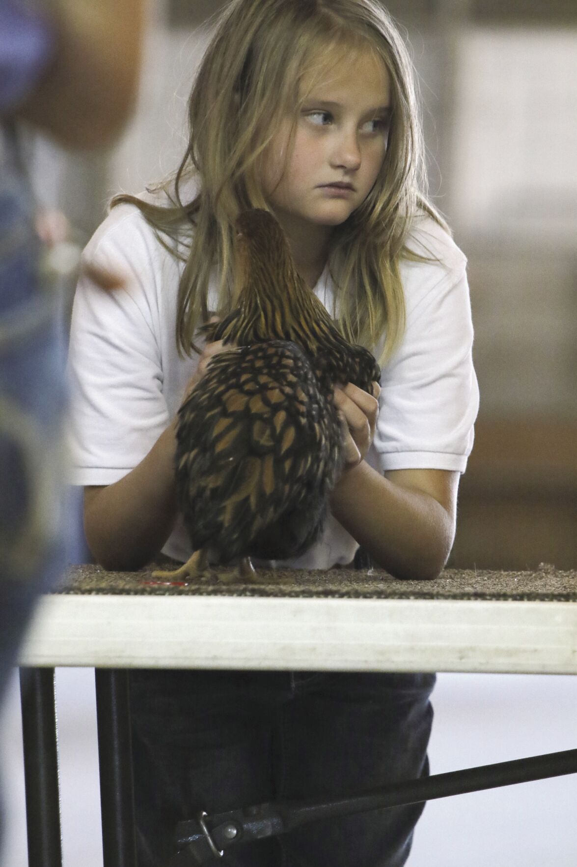 PHOTOS: Poultry Show at Scotts Bluff County Fair 2020